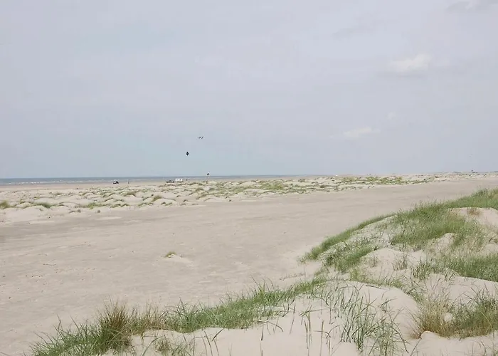 Tatil Evi Lyngvej X *